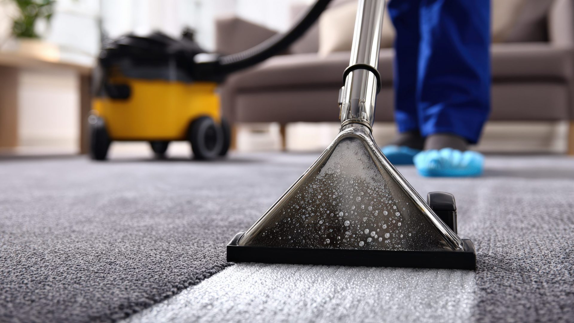 Teppich- und Polsterreinigung - MOGROUP